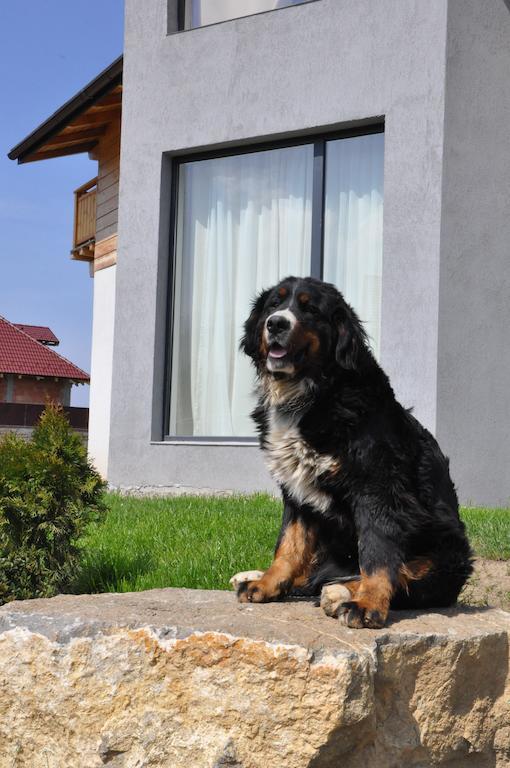 Villa Swiss Săcele Eksteriør bilde