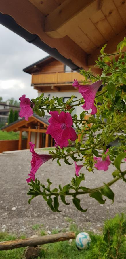 Villa Swiss Săcele Eksteriør bilde