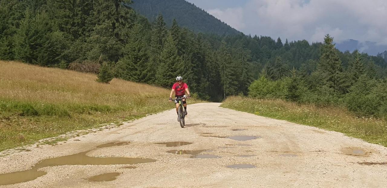 Villa Swiss Săcele Eksteriør bilde